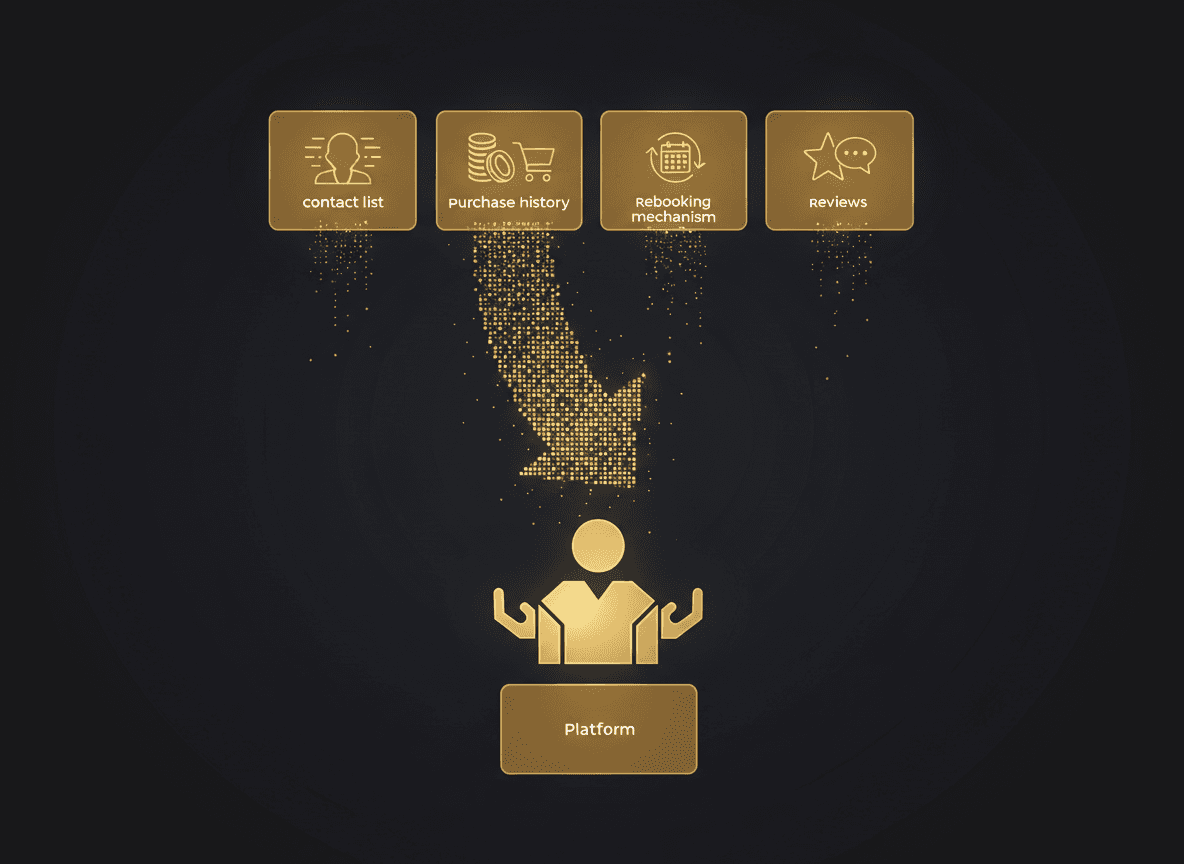 Simple infographic listing the four owned assets (contact list, purchase history, rebooking mechanism, reviews) with an arrow showing them flowing from platform to owner.